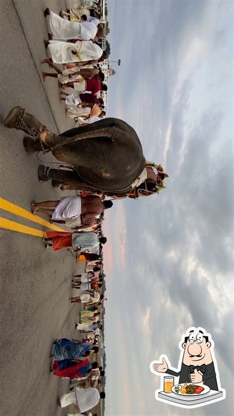 Sree Padmanabha hotel, Thiruvananthapuram - Restaurant menu, prices and ...