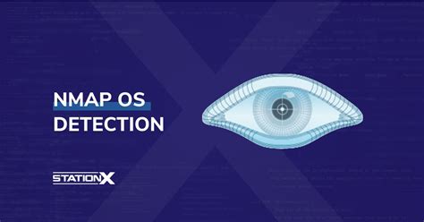 Nmap Operating System 的图像结果