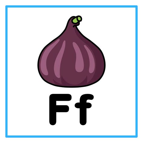 fig alphabet f illustration 45475603 Vector Art at Vecteezy
