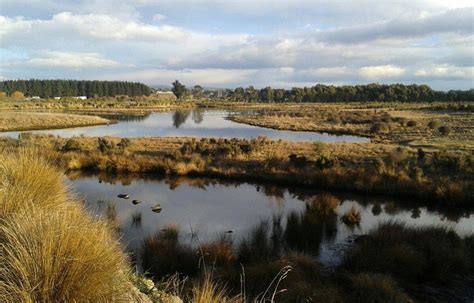 OTIPUA WETLAND - All You Need to Know BEFORE You Go 2026 (with Photos ...