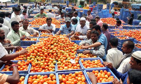 Tomato Prices Reportedly Touch Rs 250 Per Kilogram In Parts Of Uttarakhand
