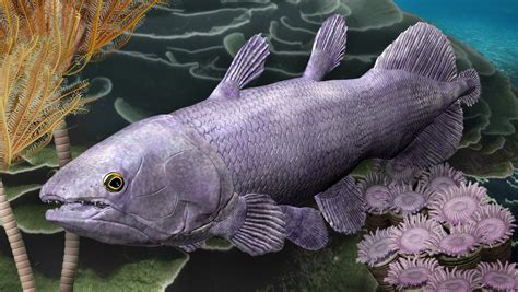 Ancient relative of 'living fossil' fish reveals that geological activity supercharges evolution ...