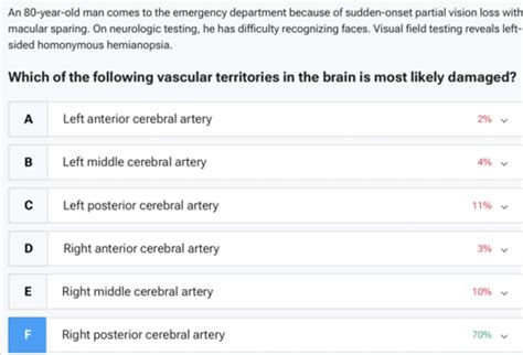 Image result for Contralateral Homonymous Hemianopsia