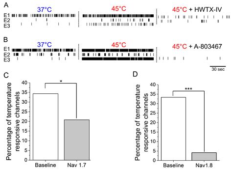 Conserved Expression of Nav1.7 and Nav1.8 Contribute to the Spontaneous ...