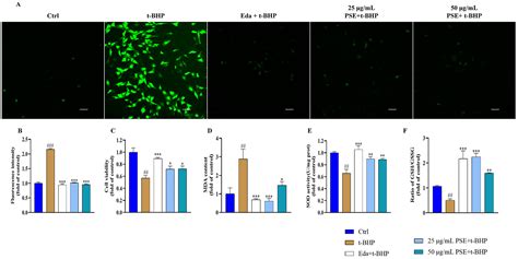 Neuroprotective Effects of Peanut Skin Extract Against Oxidative Injury ...