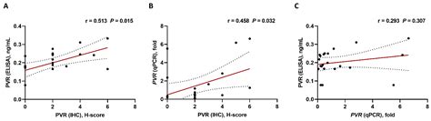 PVR (CD155) Expression as a Potential Prognostic Marker in Multiple Myeloma