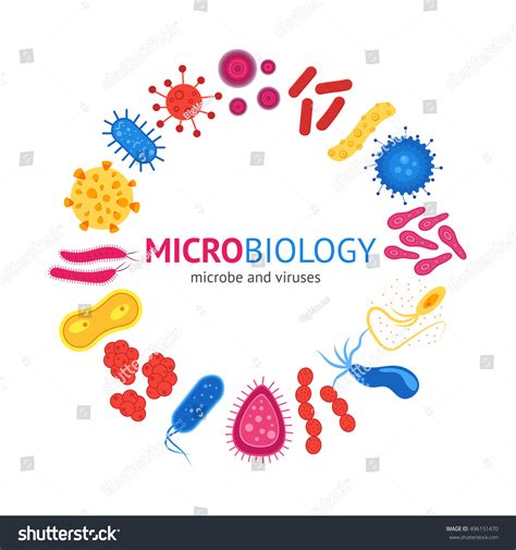 Microbiology 的图像结果