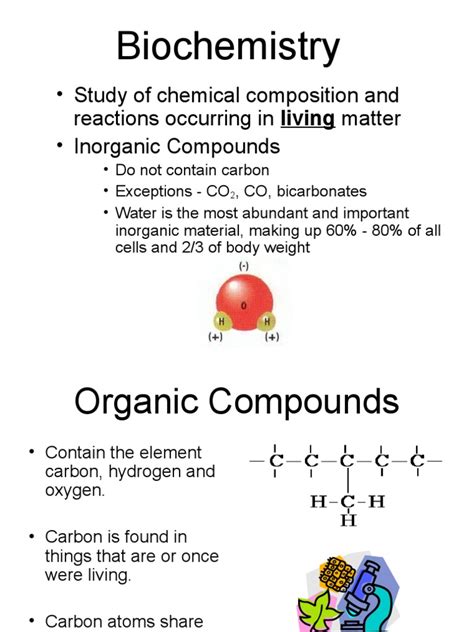 Structure of Organic Compounds | PDF | Carbohydrates | Lipid