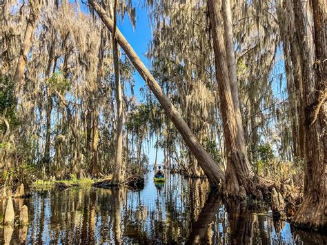 Lake Santa Fe, Melrose Florida : r/Outdoors