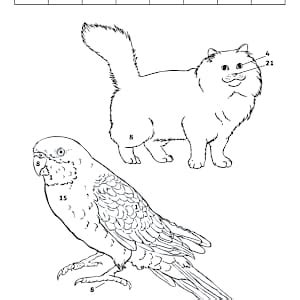 Year 3 Biological Science Questions and Colouring Worksheet