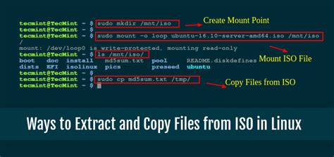 Image result for ISO File Contant