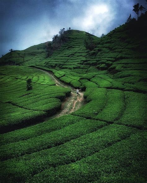 REDDOORZ NEAR KAWAH PUTIH CIWIDEY (Rancabali) - Hotel Reviews, Photos ...