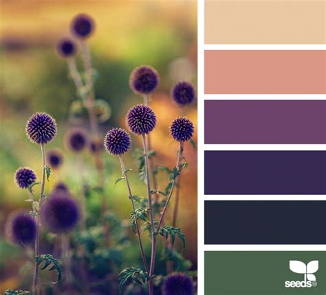 Nature Color 的图像结果