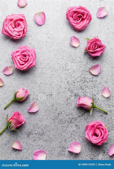 Pink Roses on Concrete Background Stock Photo - Image of birthday ...