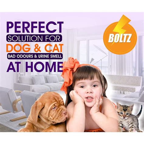 Boltz Lavender Dog Odour Remover – PETOLY