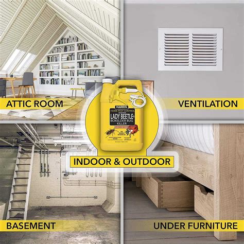 Harris Asian Lady Beetle & Box Elder Bug Killer - Home & Office ...