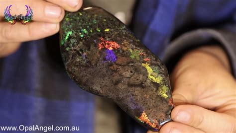 Image result for Rainbow Elementary Matrix