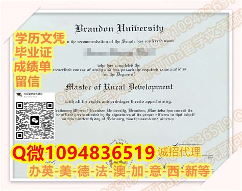 加拿大〝辍学认证〞Brandon毕业证书（学士学历/硕士学历）扣微328 970 823办理布兰登大学高仿学历文凭,BU文凭证书成绩单,BU ...