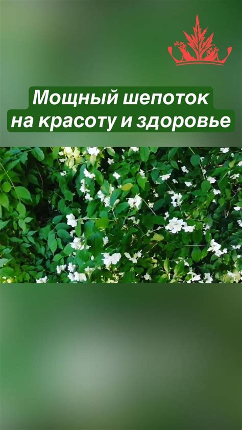 Мощный шепоток на красоту и здоровье