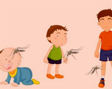 Must Read!! What are the differences and similarities between Dengue ...