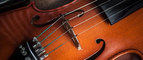Image result for Orchestral Stringed Instruments