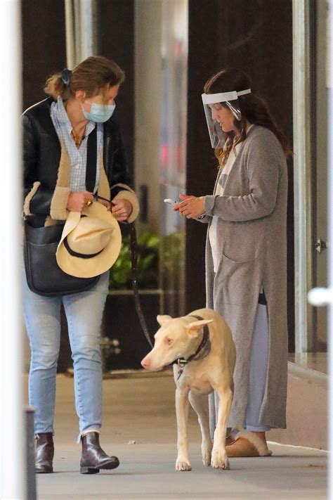 DREW BARRYMORE Comes to the Rescue of a New Yorker Whose Dog was ...