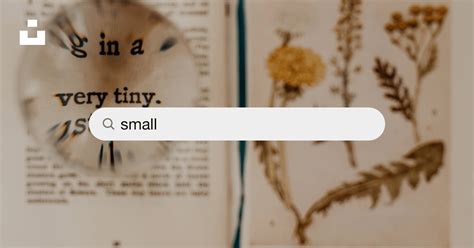 Small Resolution Image Free Stock 的图像结果