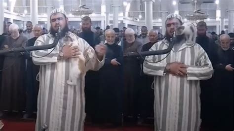 Algeria: Cat jumps on Muslim cleric reciting Ramadan prayers & adorably ...