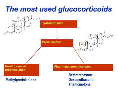 PH 1.38 Describe the mechanism of action, types, doses, side effects ...