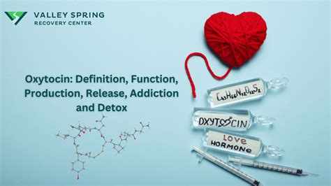 Oxytocin: Definition, Function, Production, Release, Addiction And Detox