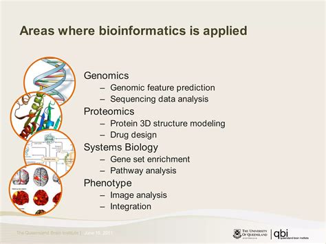 Bioinformatics Introduction 的图像结果