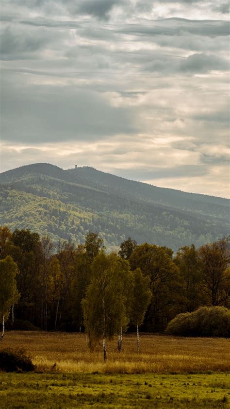 Download wallpaper 720x1280 trees, mountains, valley, nature, landscape ...