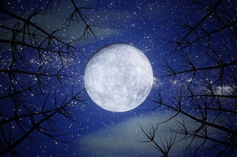 Image result for Moon Pool Tutorial Minecraft