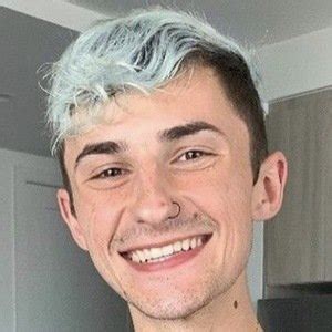 Tofuu Admin 的图像结果