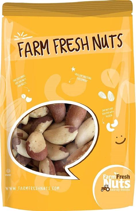 Farm Fresh Nuts Dry Roasted Brazil Nuts with Healthy India | Ubuy