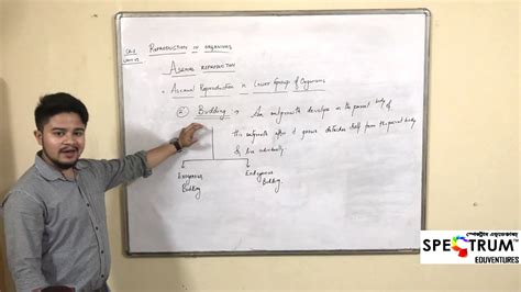 Class 12 Reproduction Videos 的图像结果