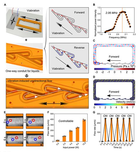 Figure 3 from A bio-fabricated tesla valves and ultrasound waves-powered blood plasma viscometer ...