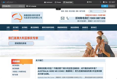 Image result for Define Localizer