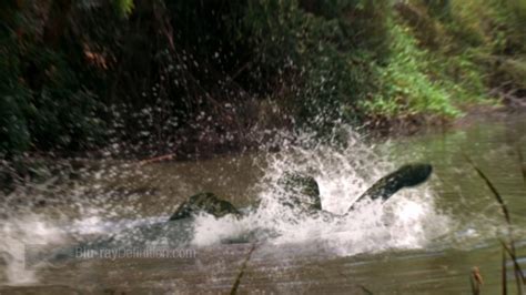 Image result for Mega Python vs. Gatoroid Trailer