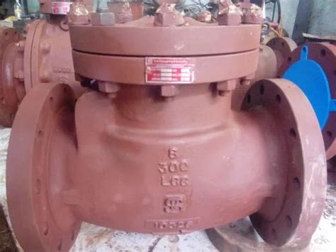 Swing Check Valve - swing check valve Manufacturer from Thane