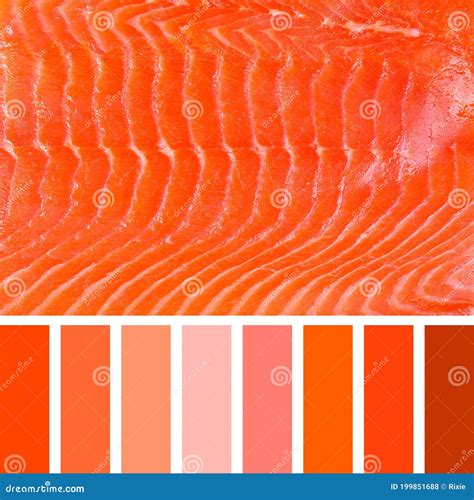 1,590 Salmon Colour Photos - Free & Royalty-Free Stock Photos from ...