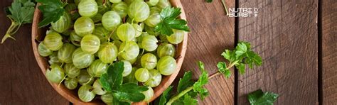 The Health Benefits of Amla Extract: What You Need to Know ...