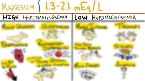 Image result for Disassembling Oreck Magnesium