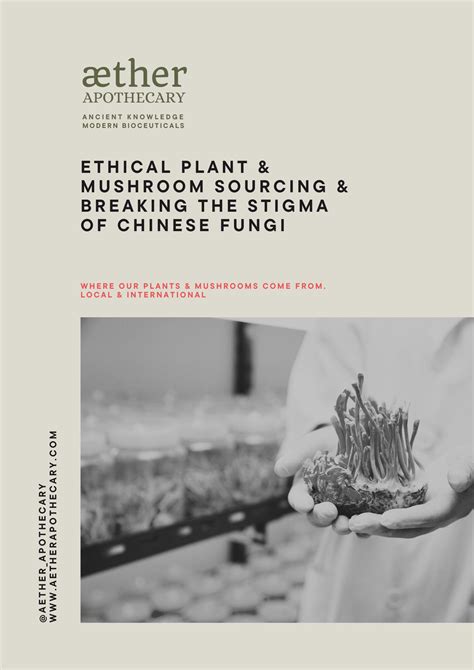 ETHICAL PLANT & MUSHROOM SOURCING ( breaking the stigma of chinese fun ...