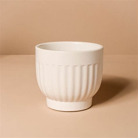 White Ribbed Vase Online - Premium Vase | Nestasia