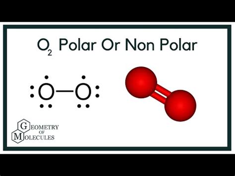 O2 Polar 的图像结果