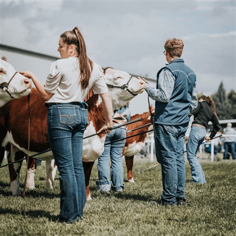 Champion of Champion Showcase - Wyoming State Fair