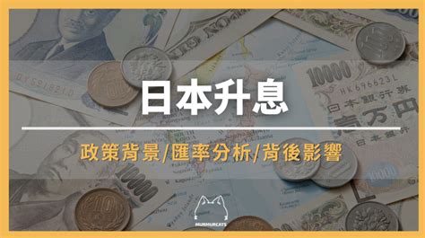 淨利與淨利率是什麼？公式計算、產業合理區間完整指南 – 呢喃貓商學院Murmurcats