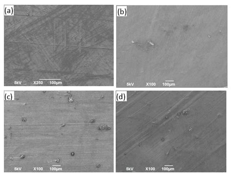 Comprehensive Characterization of Polymeric Composites Reinforced with ...