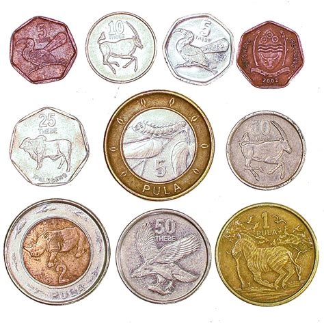 10 Botswana Coins 5 Thebe 5 Pula Old Coins Collection | Desertcart INDIA